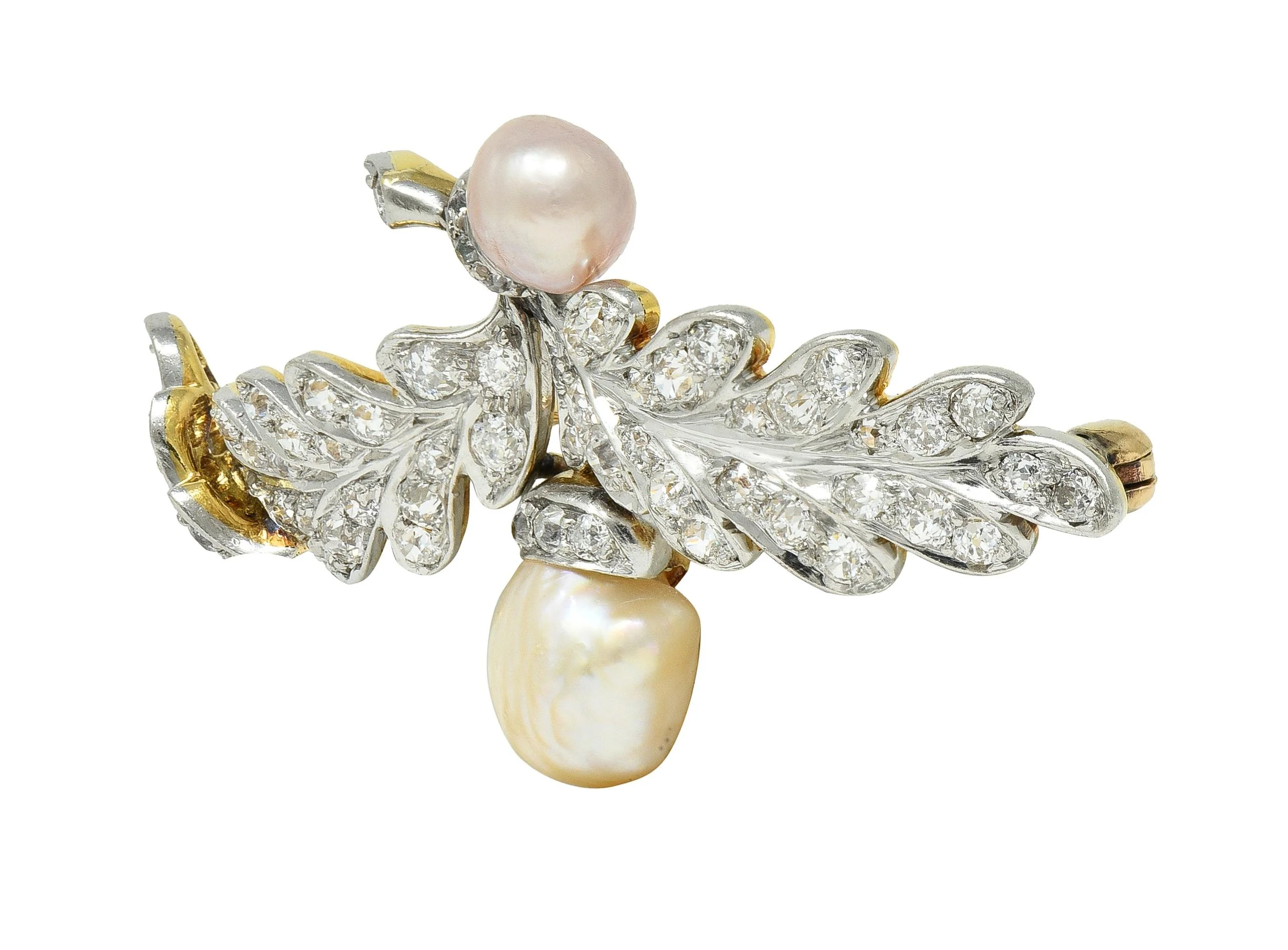 Edwardian 1.54 CTW Diamond Pearl Platinum 14 Karat Gold Antique Oak Leaf Brooch - Image 4