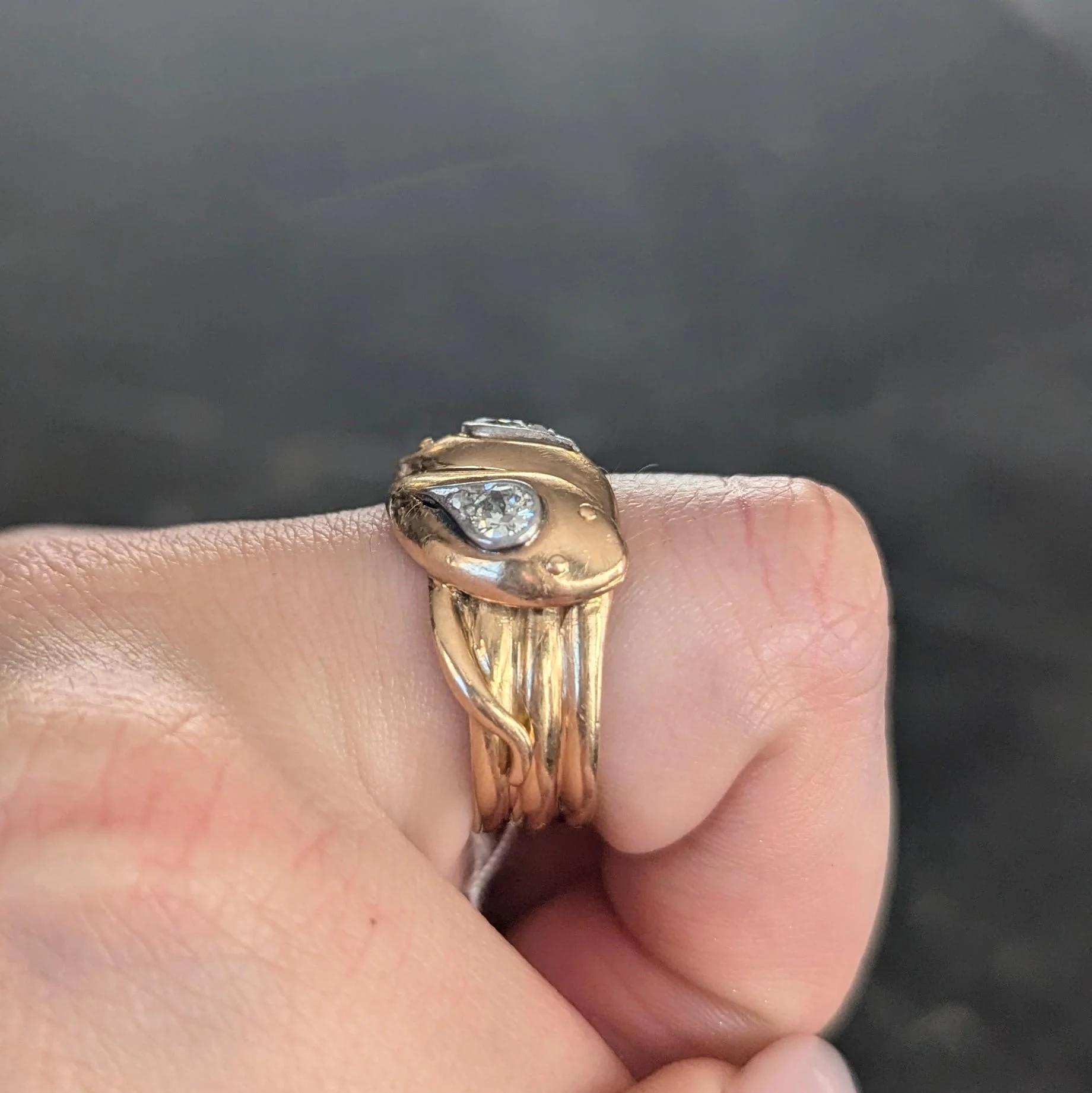 Edwardian Diamond Platinum 18 Karat Yellow Gold Antique Entwined Snake Unisex Band Ring - Image 8