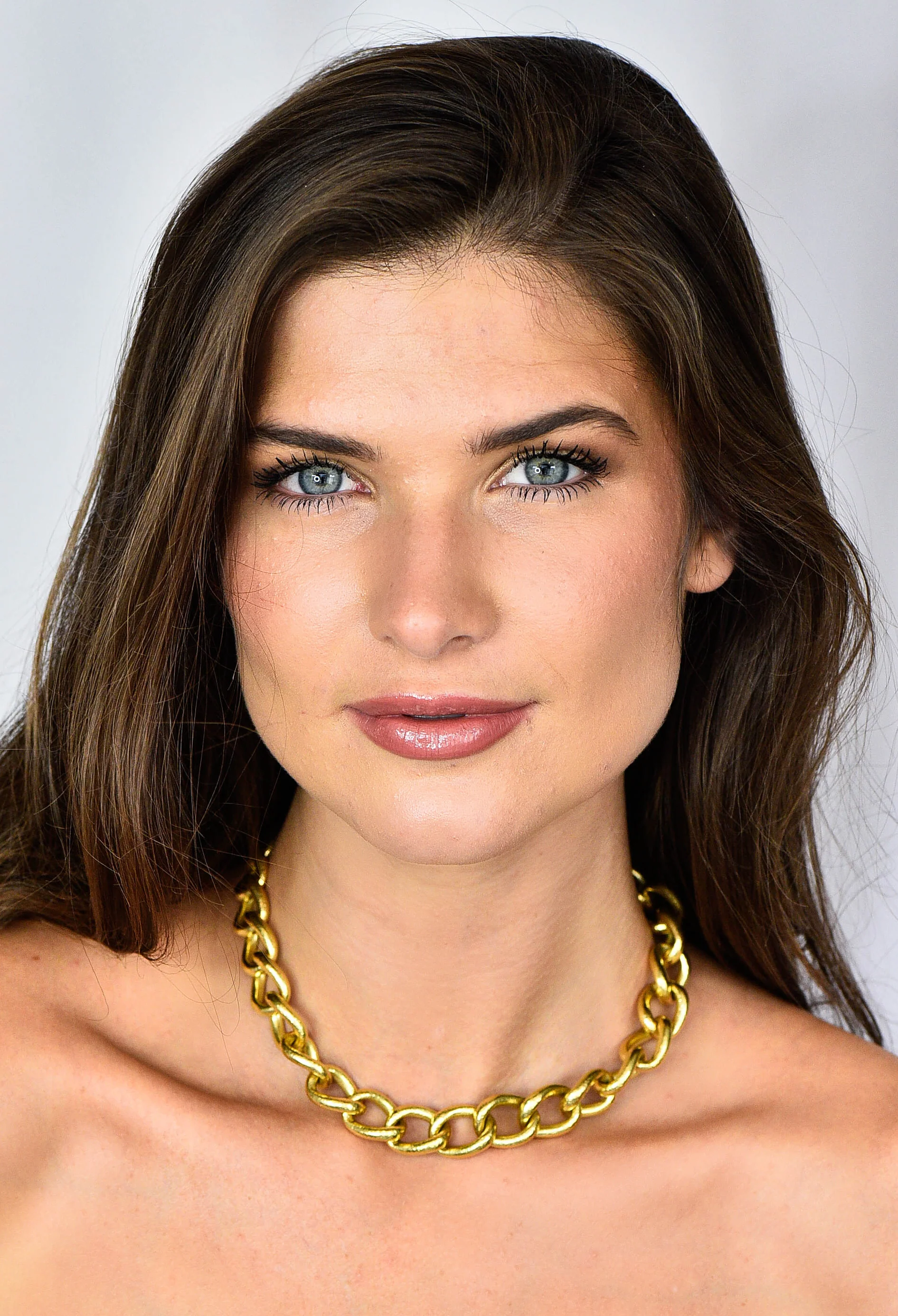 Elizabeth Locke Sapphire 18 Karat Gold Substantial Curb Link Chain Collar Necklace - Image 12